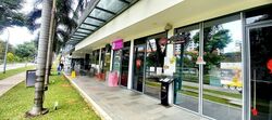 The Promenade@Pelikat (D19), Shop House #458106011
